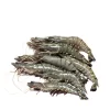 Bagda Chingri (Shrimp) 35-40 pcs