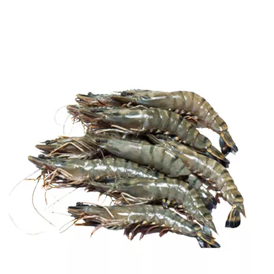 Bagda Chingri (Shrimp) 35-40 pcs